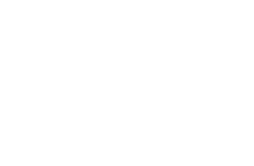 entry-lines-new-logo-header